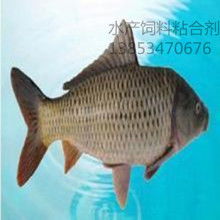 河南省漁業(yè)有限責任公司 多元養(yǎng)殖與專業(yè)飼料供應的水產(chǎn)先鋒